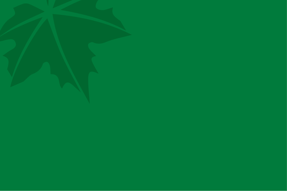 Dark Green Square with a leaf