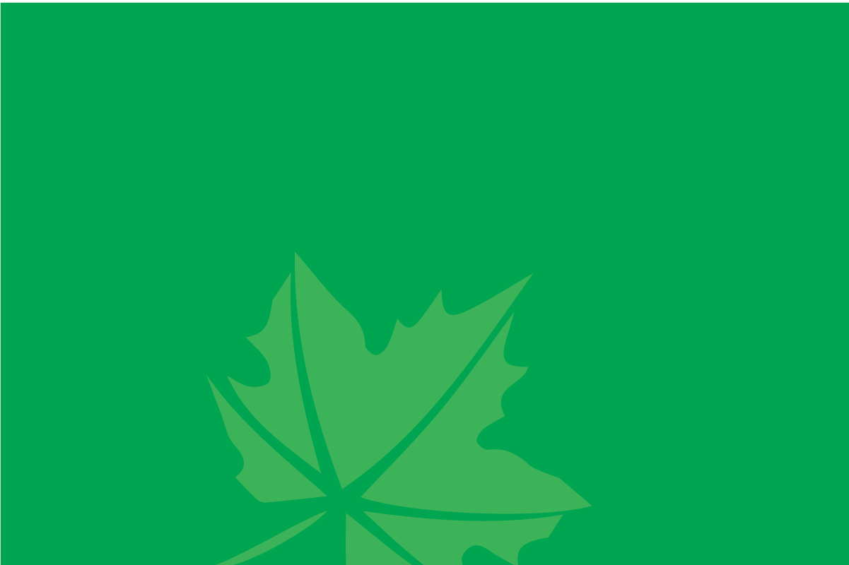 Green Square with a Leaf