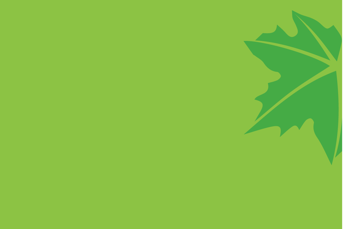 light green square with a Leaf
